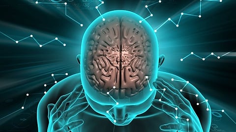 Brain
