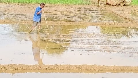 Agriculture