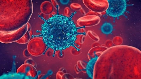 stem cell transplant