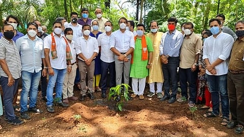 Tree Plantation in Compal, Goa