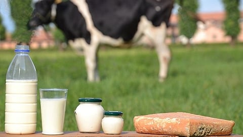Raw milk is injurious to health