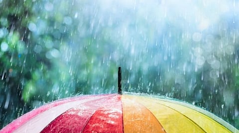 Rain 