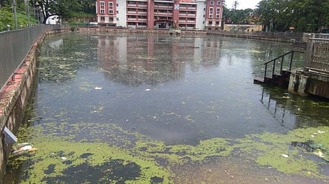 Wade Pond Water