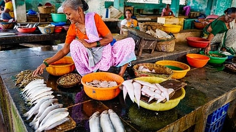 Goa Fish Market