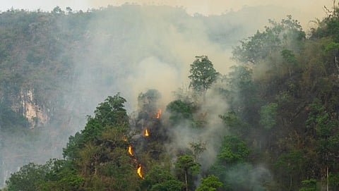 Goa Today News Live: हवेत उडवल्या जाणाऱ्या फुग्यांमुळे मांद्रे माळरानाला आग; 3,000 झाडे जळून खाक