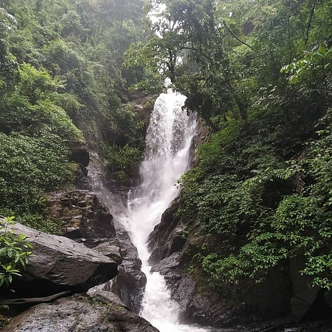 Goa: Waterfall in Netravali.