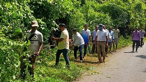 कासारपाल-मुळगाव रस्त्याच्या बाजूची झुडूपे छाटली
