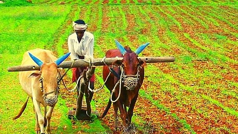 farmer 