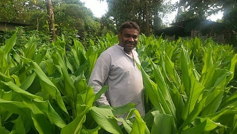 Goa: प्रगतशील शेतकऱ्याने हळद आणि आल्याची केली लागवड  