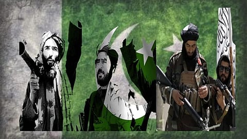 Pakistan hold on Taliban government for do not support  India