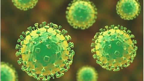 New threat looming over Kerala battling Corona, suspected case of Nipah virus surfaced in Kozhikode 