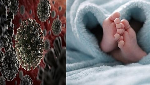 Corona Virus