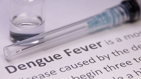 Dengue