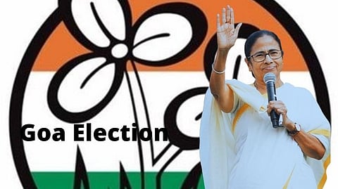 Assembly Election: Trinamool Congress 