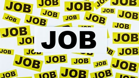 jobs