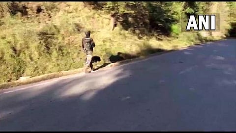 Jammu and Kashmir: Two soldiers lost lives in counter attack in Poonch encounter 