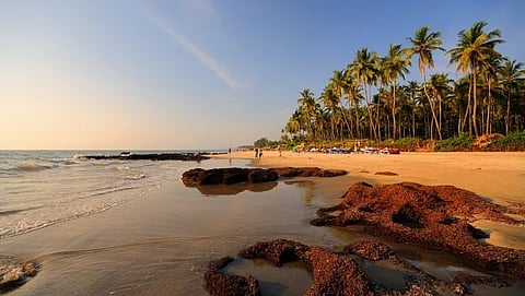 Morjim Beach