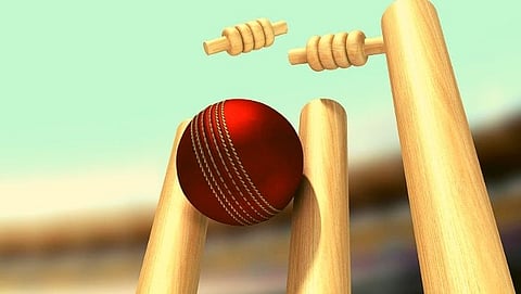 Cricket 