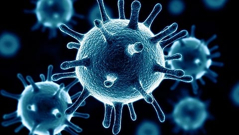 Covid-19: Corona Virus 