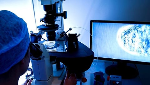 IVF fertility treatment