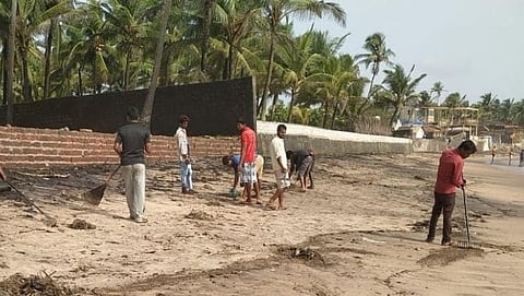 Goa Environment गोव्याच्या किनाऱ्याला तेलगोळ्यांचे सावट; जीवसृष्टी धोक्यात
