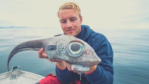 Alien fish