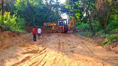Mountain Harvest |Goa Environment