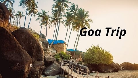 Beach Lovers गोव्यातील नारळाच्या झाडात वेढलेले हे सुंदर ठिकाण तुम्हाला माहिती आहे का? 
