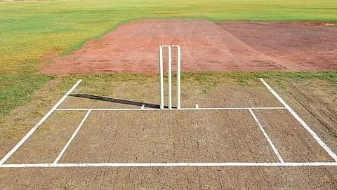Cricket 