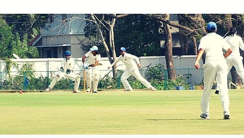 Cricket 