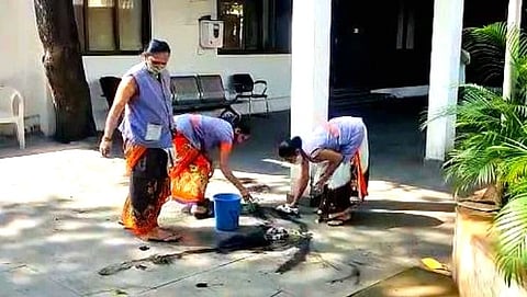 राज्याचे परिवहन मंत्री अनिल परब यांच्या 
 घरावर फेकली शाई 