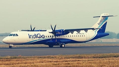 Indigo 
