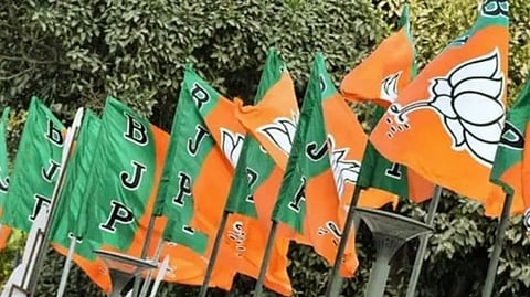 BJP Mahila Morcha state executive sacked in Goa