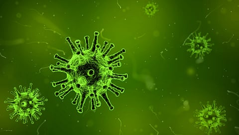 Corona Virus TMC