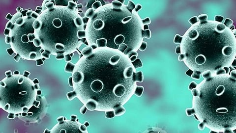 Corona virus