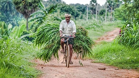 PM Kisan Yojana 