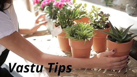 Vastu tips: Must have five things at home 