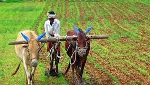 Farmers