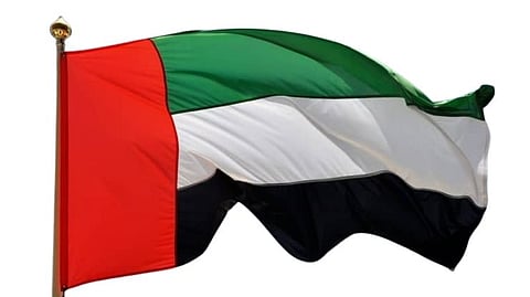 UAE Bans Drones