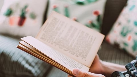 Novel