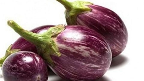 brinjal side effects 