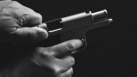 Gun 