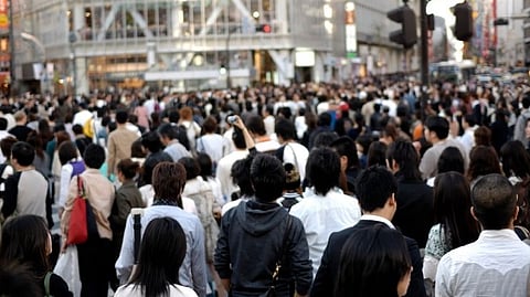 Crowd Stampede Survival Tips
