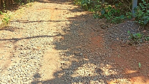 Road in Wadi at Bhuipal 