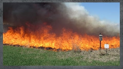Farm Burning