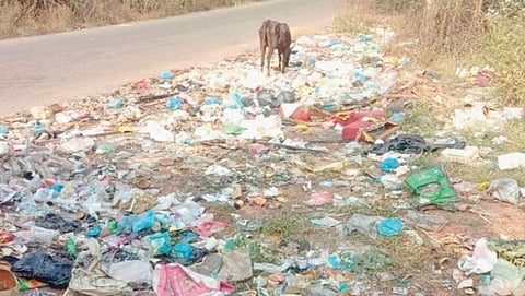 Garbage in Ponda
