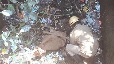 A calf Rescued in Amona Goa