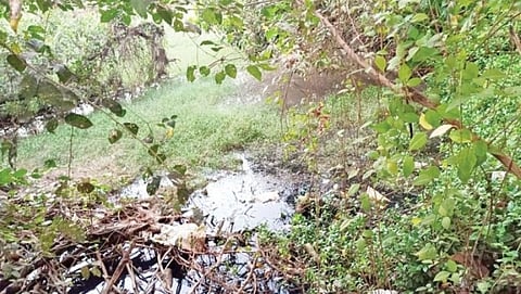 Pollution of Pond in Fatorda