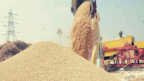 World Food Programme