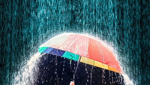 Rain 